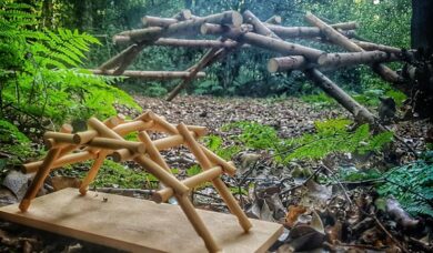 wooden construction project in forest wooden construction project in forest