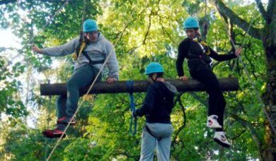tree climbing tree climbing